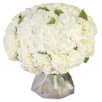 Букет из 35 белых гортензий