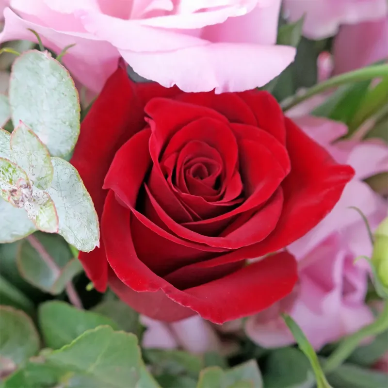 Цветы в коробке Королевский парк